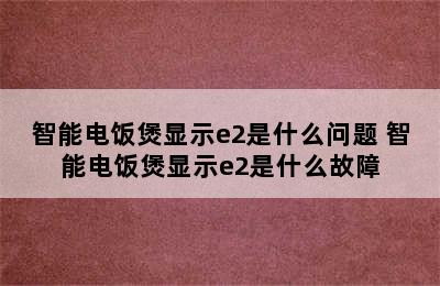 智能电饭煲显示e2是什么问题 智能电饭煲显示e2是什么故障